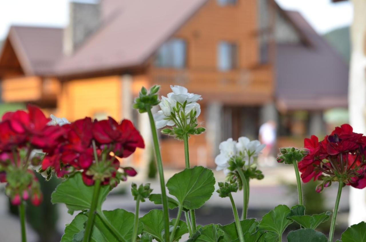 Sribni Rosy Hotel Mykulychyn Exterior foto